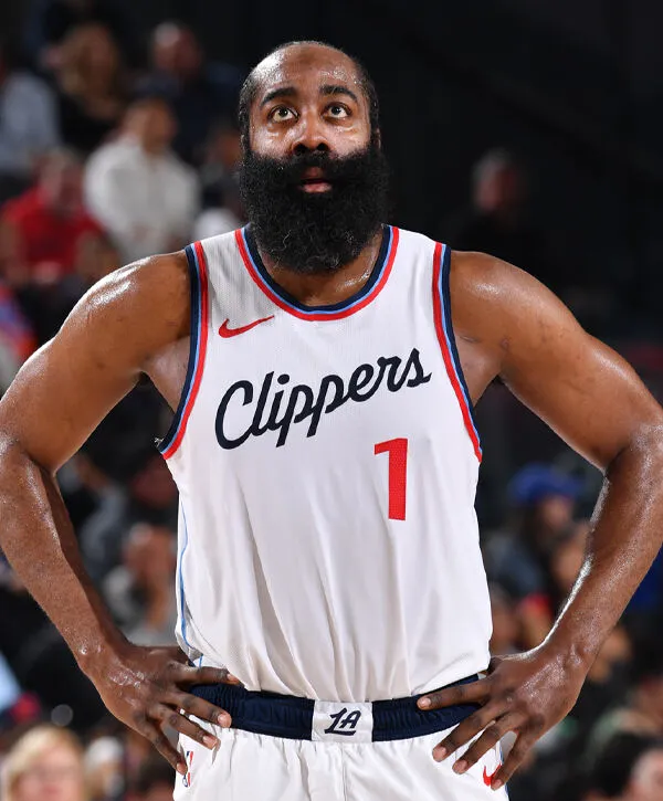  鹰从雏鹰到老鹰的成长过程 