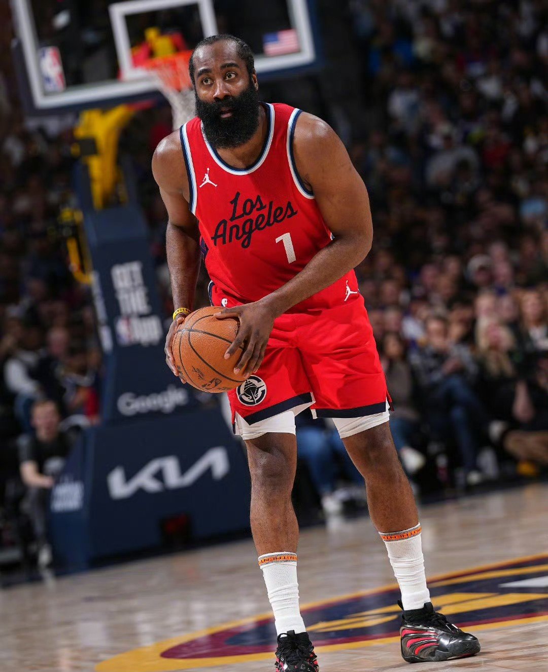  鹰从雏鹰到老鹰的成长过程 